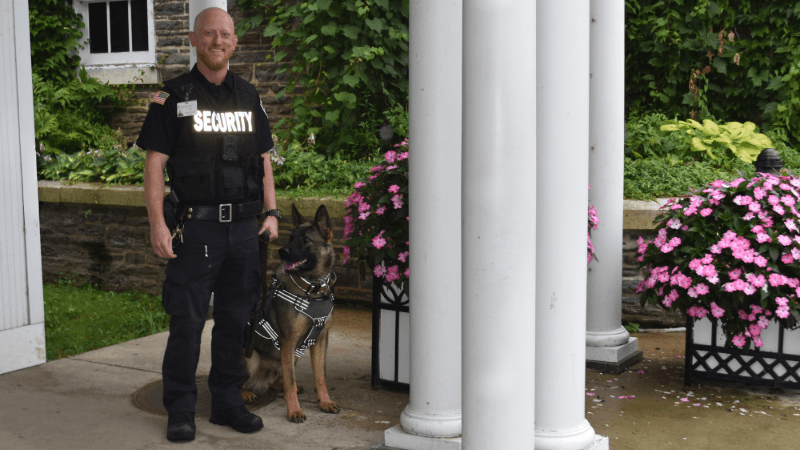 A security K-9 is photographed with his handler. They are standing outside the entrance to Bassett Medical Center. 