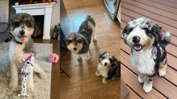 Ellie and Lola